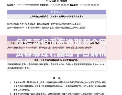 负债高但没有逾期哪个网贷容易过？精选平台解析与申请技巧