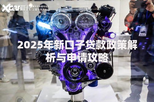 2025年新口子贷款政策解析与申请攻略