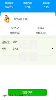 还有哪些口子可以分期？正规分期贷款平台推荐