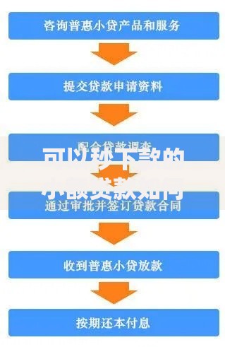 可以秒下款的小额贷款如何申请？资质要求与流程解析