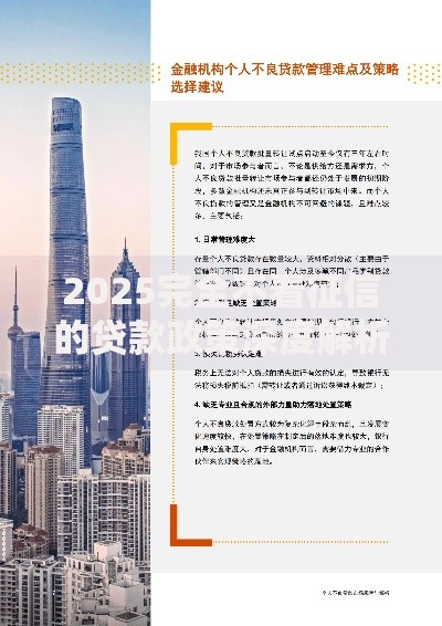2025完全不看征信的贷款政策深度解析