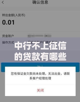 中行不上征信的贷款有哪些隐藏风险与优势？