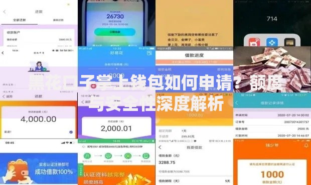 黑花口子掌上钱包如何申请？额度与安全性深度解析