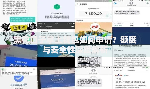 黑花口子掌上钱包如何申请？额度与安全性深度解析