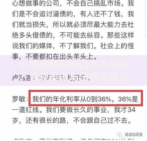 小额借款哪些口子不用还？合规渠道与法律风险深度解析