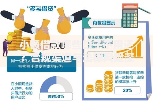 小额借款哪些口子不用还？合规渠道与法律风险深度解析
