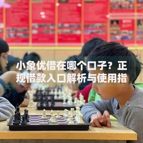 小象优借在哪个口子？正规借款入口解析与使用指南