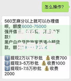 最新下款的网贷口子2025：正规平台解析与申请避坑指南