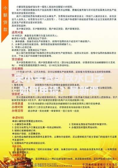 宋小宝贷款放水口子如何申请?最新渠道解析 宋小宝贷款放水口子如何申请?最新渠道解析