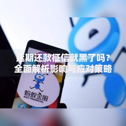 延期还款征信就黑了吗？全面解析影响与应对策略