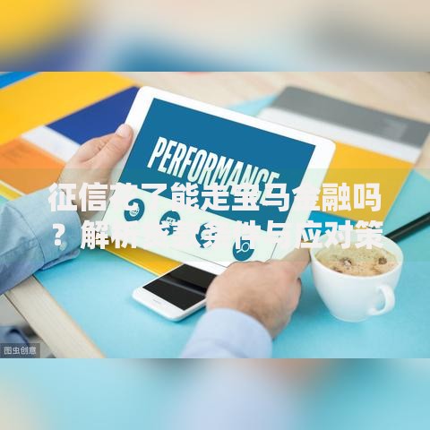 征信花了能走宝马金融吗？解析贷款条件与应对策略