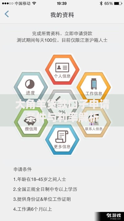 大角羊贷款口子申请条件与利率解析