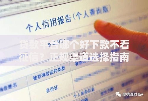 贷款平台哪个好下款不看征信？正规渠道选择指南