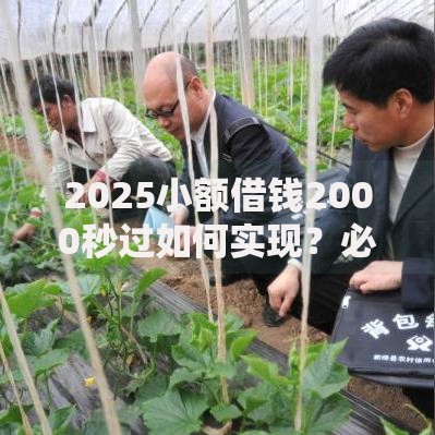 2025小额借钱2000秒过如何实现？必知流程解析