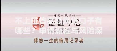 不上征信高额网贷口子有哪些？申请流程与风险深度解析