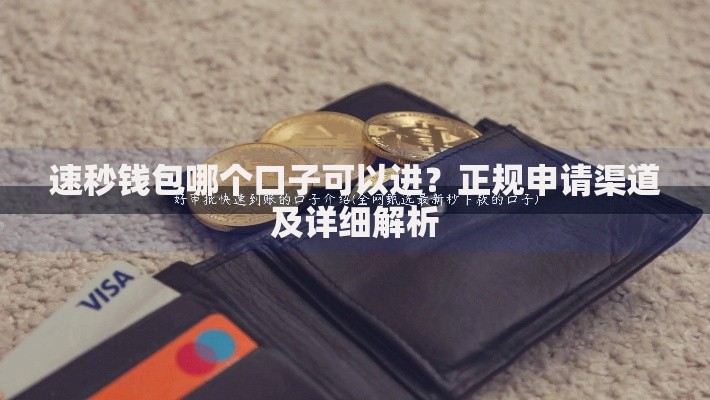 速秒钱包哪个口子可以进？正规申请渠道及详细解析