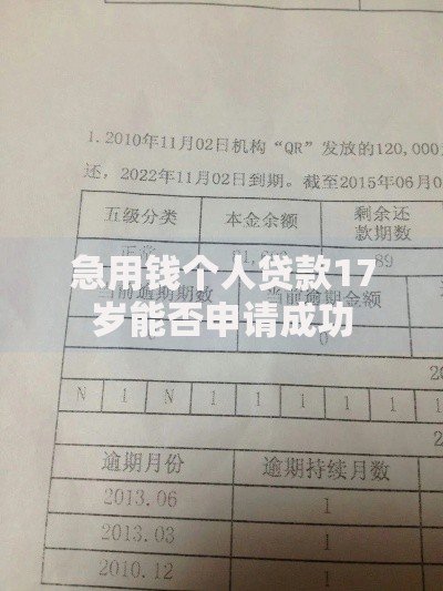 急用钱个人贷款17岁能否申请成功