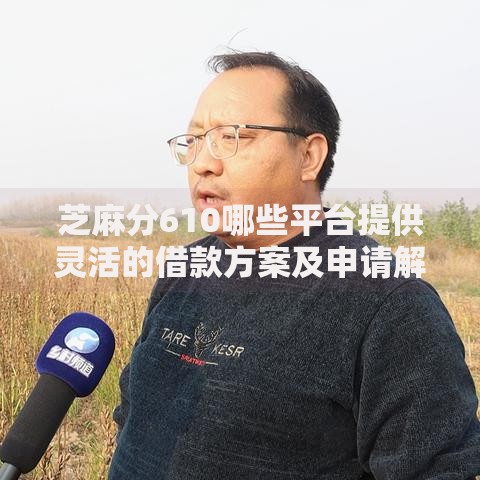芝麻分610哪些平台提供灵活的借款方案及申请解析