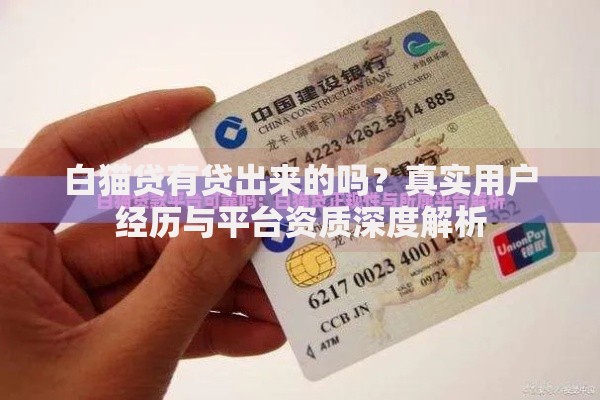 白猫贷有贷出来的吗？真实用户经历与平台资质深度解析