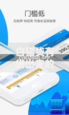 白猫贷有贷出来的吗？真实用户经历与平台资质深度解析