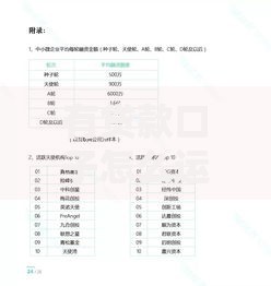 有贷款口子怎么运作？如何操作？流程解析与风险防范指南