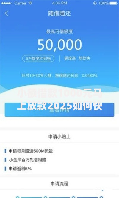 小额借款1000元马上放款2025如何快速申请？流程解析