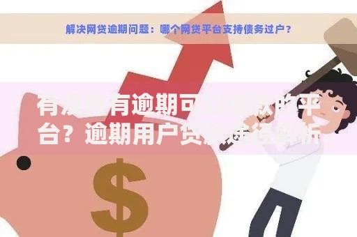 有没有有逾期可以借款的平台？逾期用户贷款途径解析