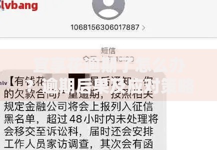 宜享花逾期了怎么办？逾期后果及应对策略解析