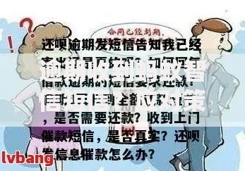 逾期收到蚂蚁智信短信？应对策略与疑问全解析