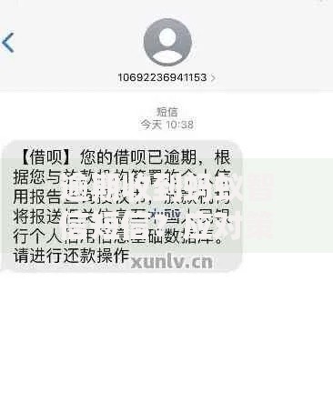 逾期收到蚂蚁智信短信？应对策略与疑问全解析