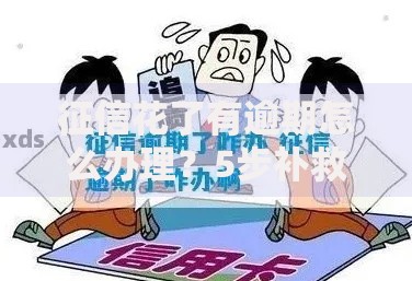 征信花了有逾期怎么办理？5步补救贷款成功方案