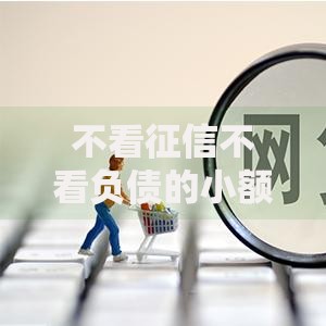 不看征信不看负债的小额网贷如何申请？快速到账指南