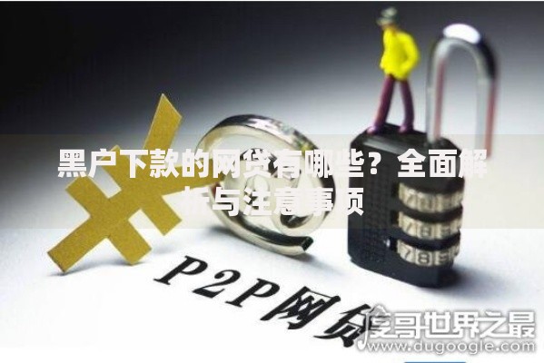 黑户下款的网贷有哪些？全面解析与注意事项