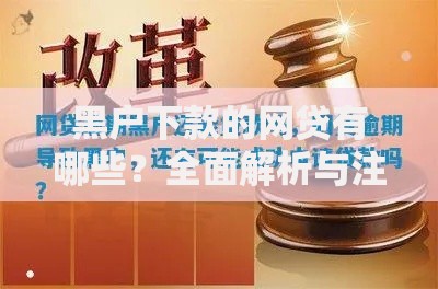 黑户下款的网贷有哪些？全面解析与注意事项