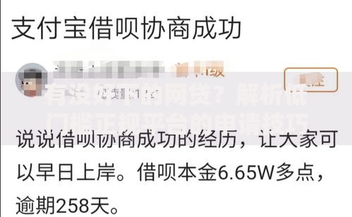 有没好下的网贷？解析低门槛正规平台的申请技巧