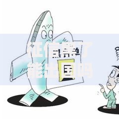 征信黑了能出国吗？贷款影响与解决方案解析