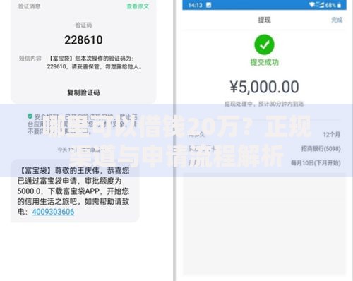 哪里可以借钱20万？正规渠道与申请流程解析