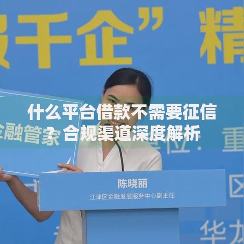 什么平台借款不需要征信？合规渠道深度解析