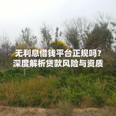 无利息借钱平台正规吗？深度解析贷款风险与资质验证