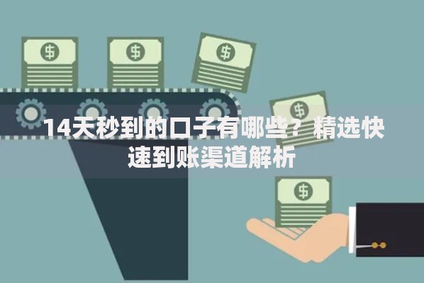 14天秒到的口子有哪些？精选快速到账渠道解析