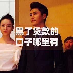 黑了贷款的口子哪里有？深度解析合法贷款渠道与风险规避