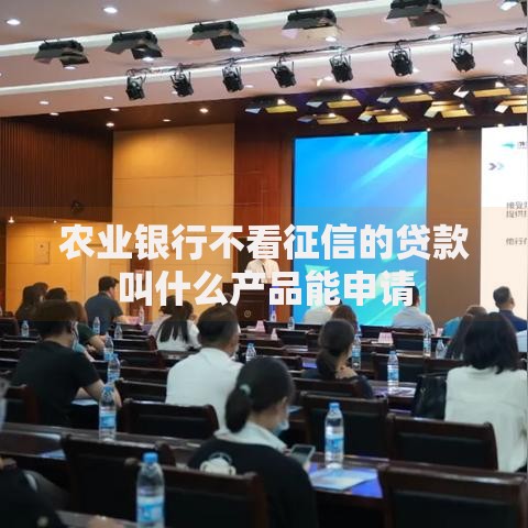 农业银行不看征信的贷款叫什么产品能申请