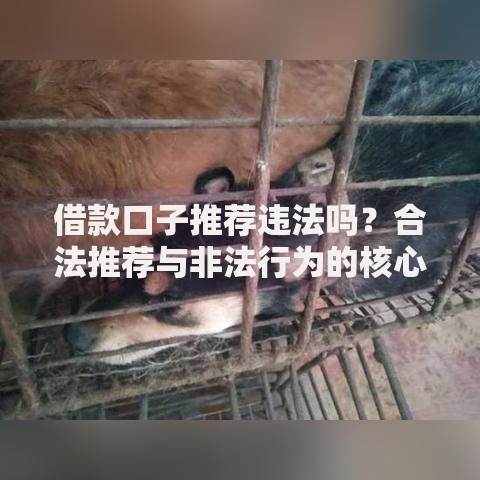 借款口子推荐违法吗？合法推荐与非法行为的核心区别