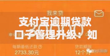 支付宝逾期贷款口子管理升级：如何避免征信风险？