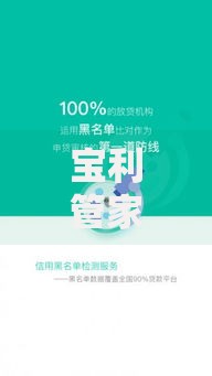 宝利管家系列口子有哪些？正规贷款产品深度解析