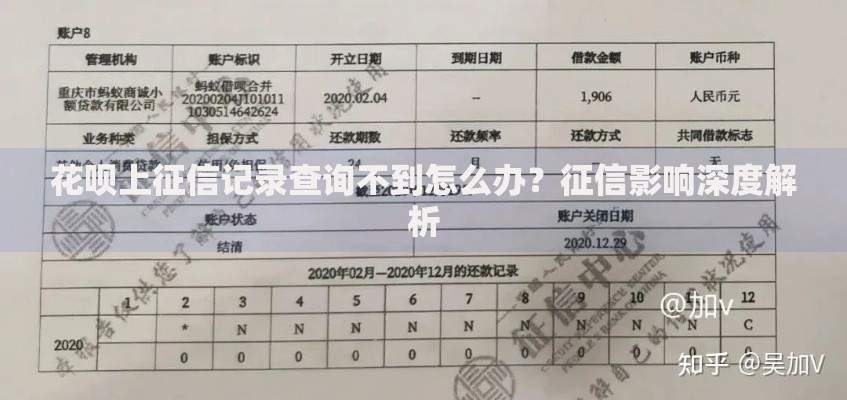 花呗上征信记录查询不到怎么办？征信影响深度解析