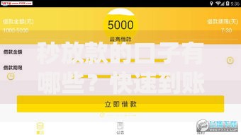 秒放款的口子有哪些？快速到账的贷款平台解析