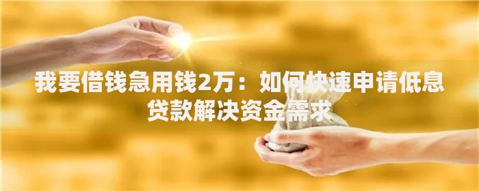 我要借钱急用钱2万：如何快速申请低息贷款解决资金需求
