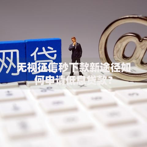 无视征信秒下款新途径如何申请低息贷款？