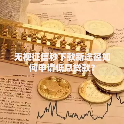 无视征信秒下款新途径如何申请低息贷款？